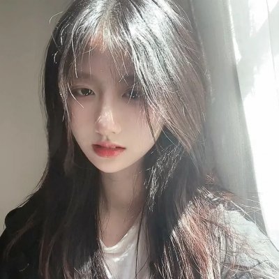 网中的太阳
